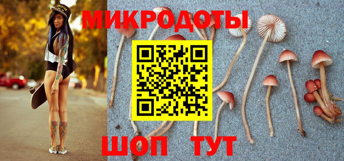 Галлюциногенные грибы мицелий Прохладный