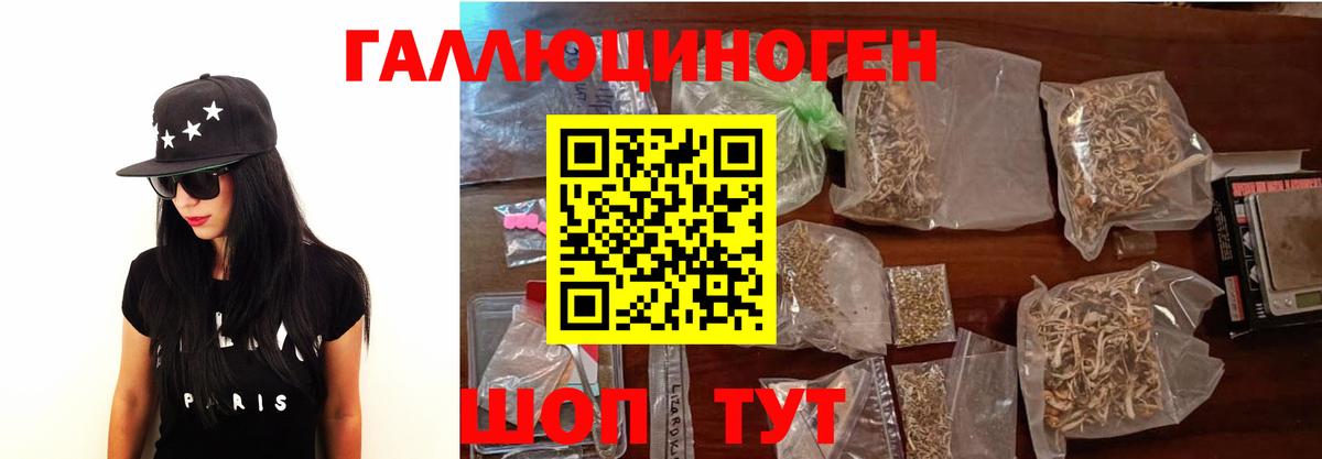 Галлюциногенные грибы Psilocybe  Вход с VPN  Прохладный 